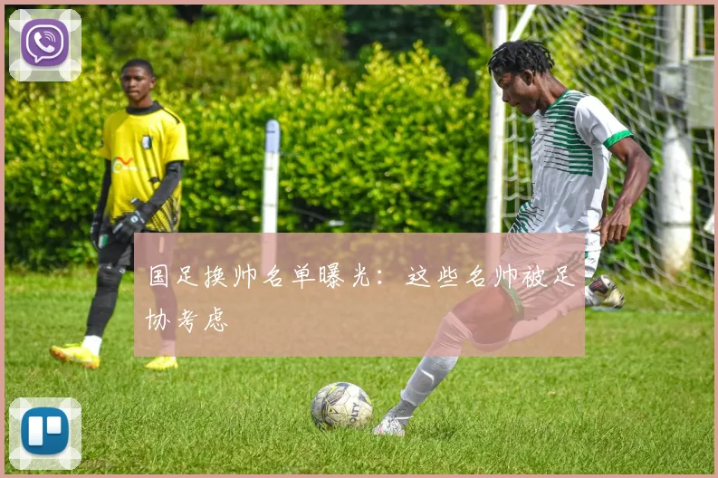 国足换帅名单曝光：这些名帅被足协考虑